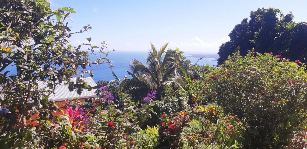 "Sunrise Inn" Nature Island Dominica Penville Bagian luar foto