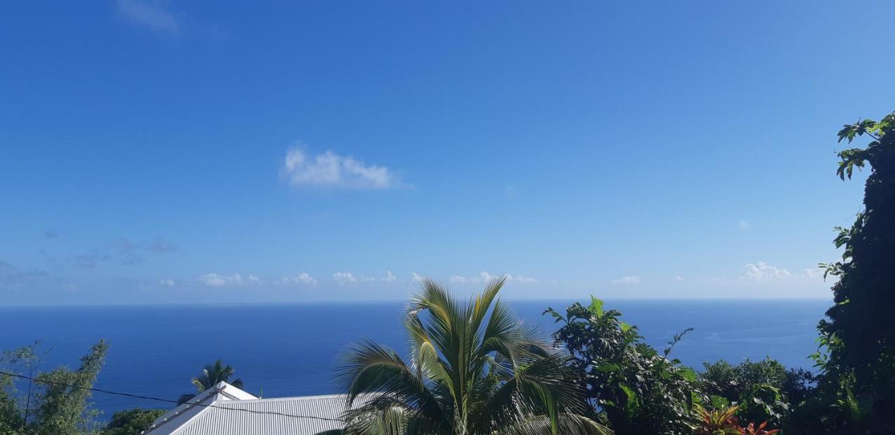 "Sunrise Inn" Nature Island Dominica Penville Bagian luar foto