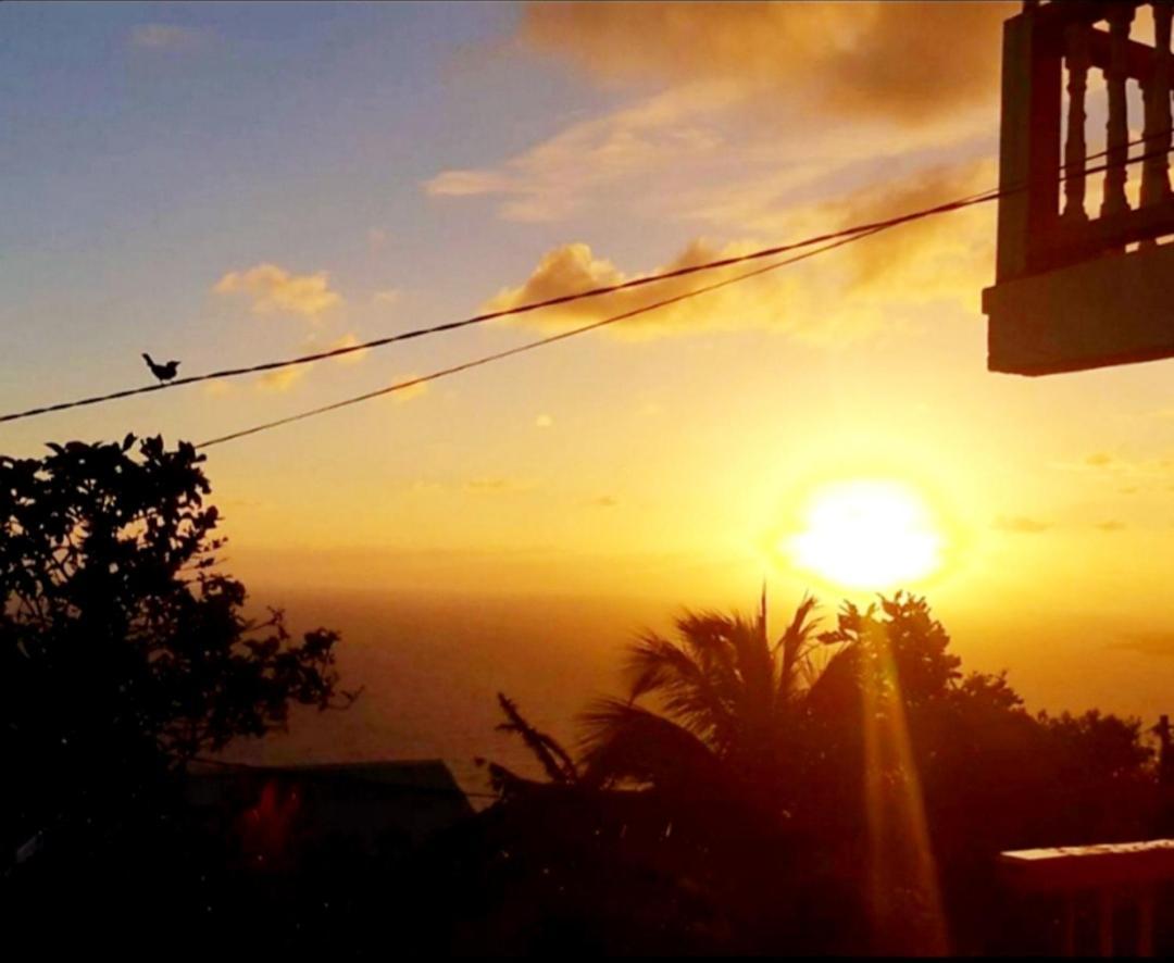 "Sunrise Inn" Nature Island Dominica Penville Bagian luar foto