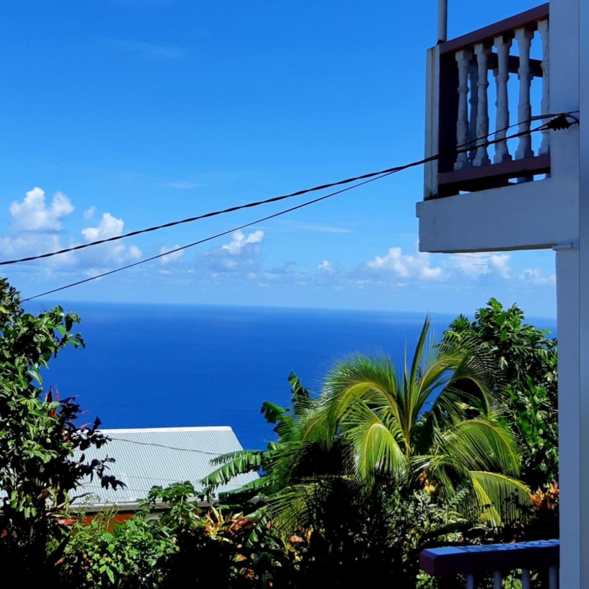 "Sunrise Inn" Nature Island Dominica Penville Bagian luar foto