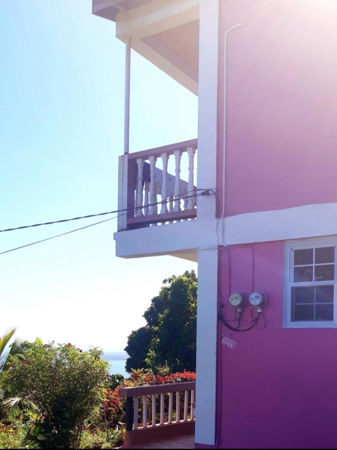 "Sunrise Inn" Nature Island Dominica Penville Bagian luar foto